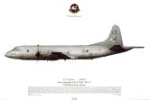 No 484, P-3C Orion, VP-11, USN.